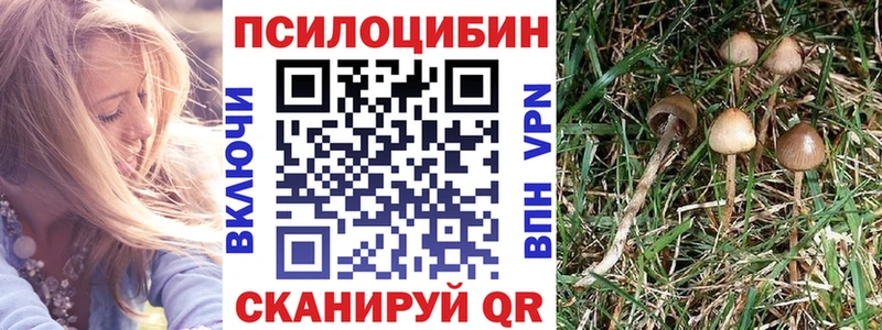 Псилоцибиновые грибы Psilocybe  Скопин 